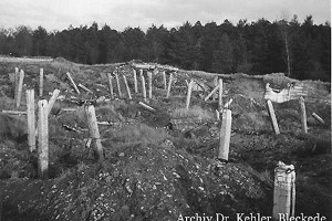 Bild 4: Säulen im Trümmerfeld der Tank-Behälter