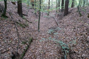 Bild 6: Wo sich einmal ein Verbindungstunnel zwischen den Tanks Nr. 30 und 31 befand, liegen heute noch überwachsene Betonteile (links im Bild) in dem verbliebenen Geländeeinschnitt. Foto: Bendler 2018.