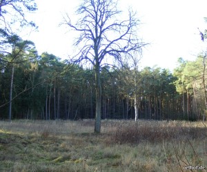 Bild 21: Ehemaliger Standort krankenhaus Bleckede im Januar 2017