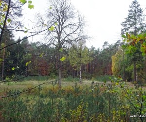 Bild 22: Ehemaliger Standort Krankenhaus Bleckede im September 2018.